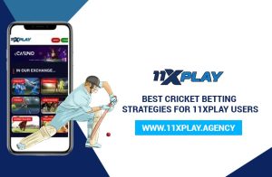 Read more about the article Best Cricket Betting Strategies for 11XPLAY Users