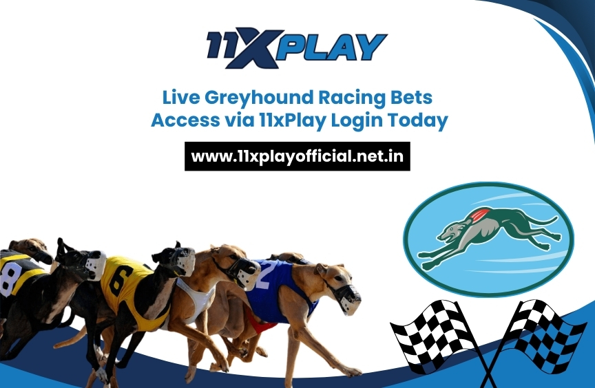 Read more about the article Live Greyhound Racing Bets: Access via 11xPlay Login Today